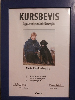 Denna bild har ett alt-attribut som är tomt. Dess filnamn är canisinstruktorsbevis.jpg